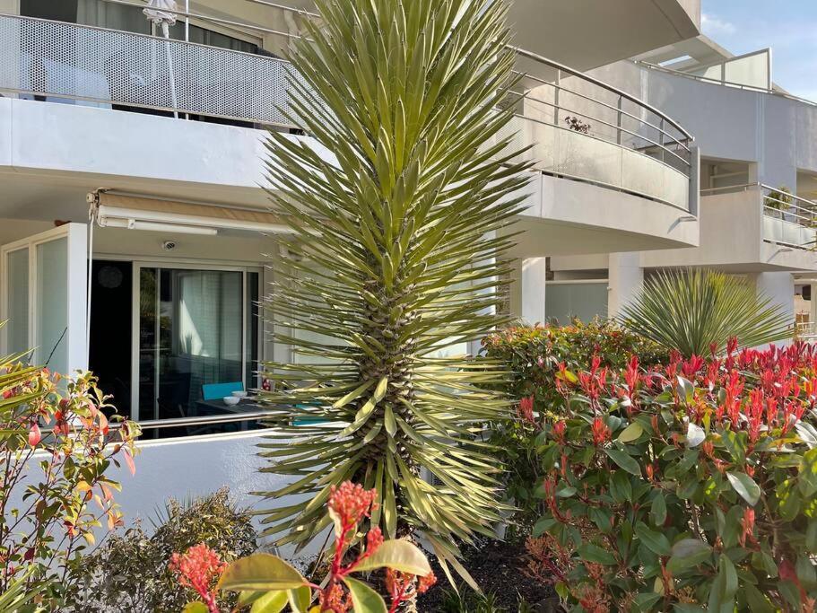 邦多勒21 - Tres Agreable Rdc Avec Terrasse Et Parking公寓 外观 照片